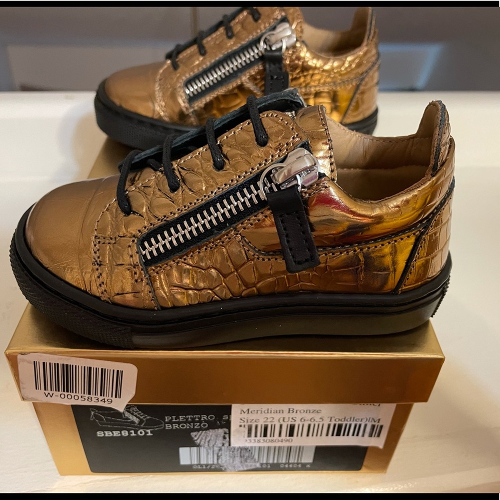 Giuseppe Zanotti